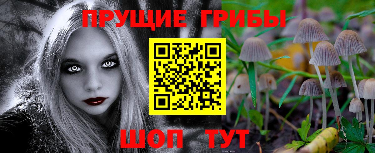 Псилоцибиновые грибы прущие грибы  Галлюциногенные грибы Magic Shrooms  Кимры  Вход с VPN 