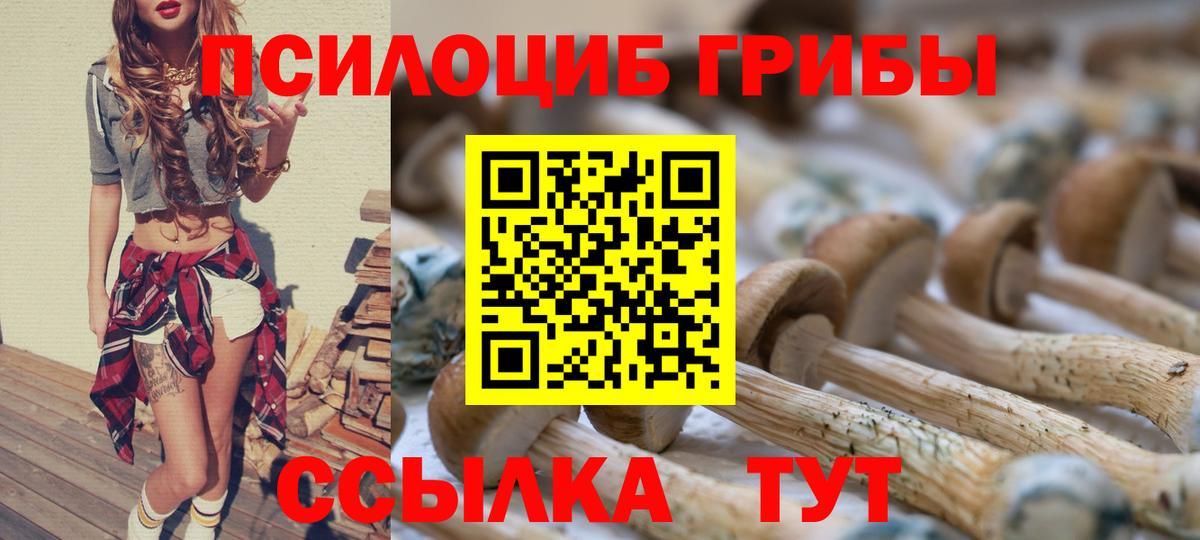 Галлюциногенные грибы Magic Shrooms Кимры